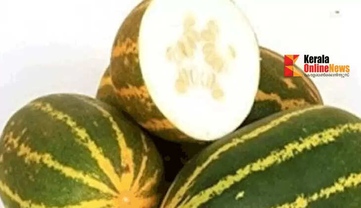 vellarikka