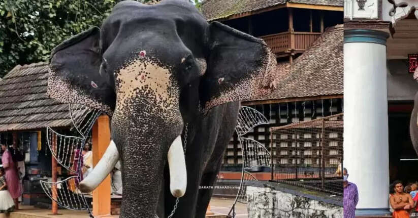 Balakrishnan bowed down at Mullakkal in Alappuzha