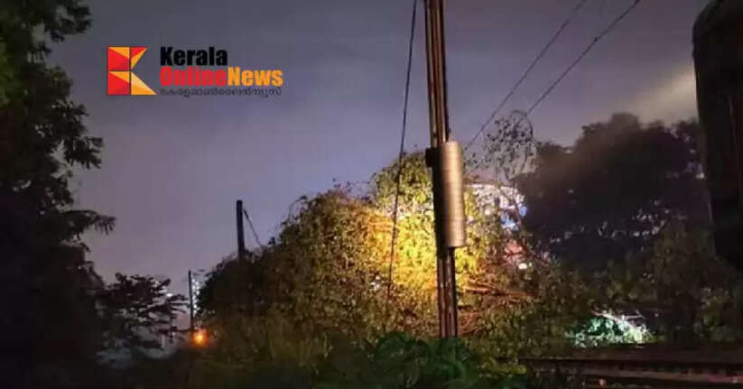 Tree falls on Kozhikode railway track; Train services restored
