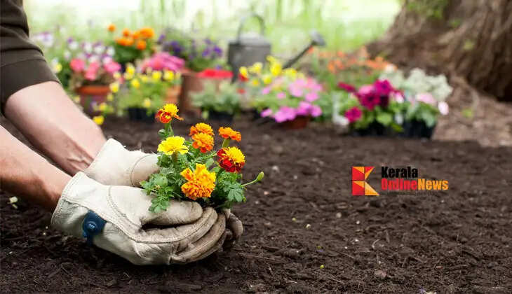 Are your plants not growing? You need to pay attention to soil quality in gardening.