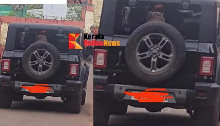 A Thar jeep was caught wandering around a school in Morazha and handed over to the police.