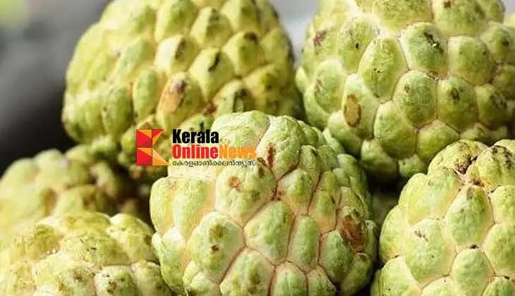 sugarapple