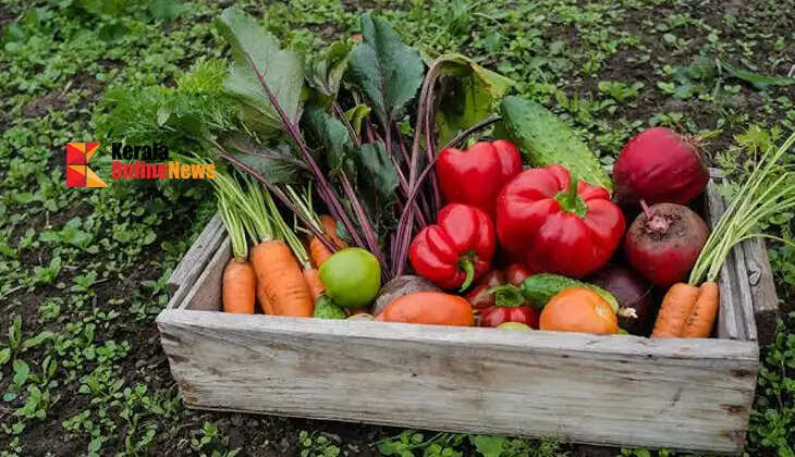 Entrepreneurship alongside farming; a value-added business based on agricultural products.