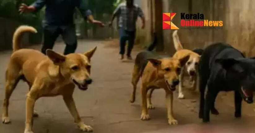 One and a half year old girl bitten to death by stray dogs in Goa