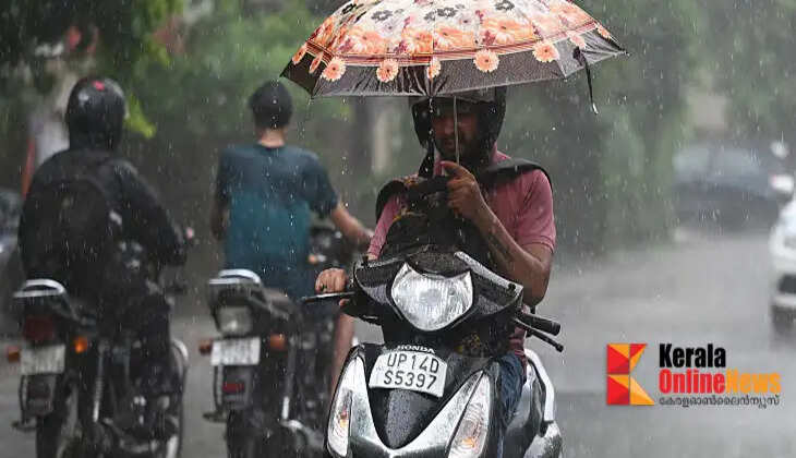 rain