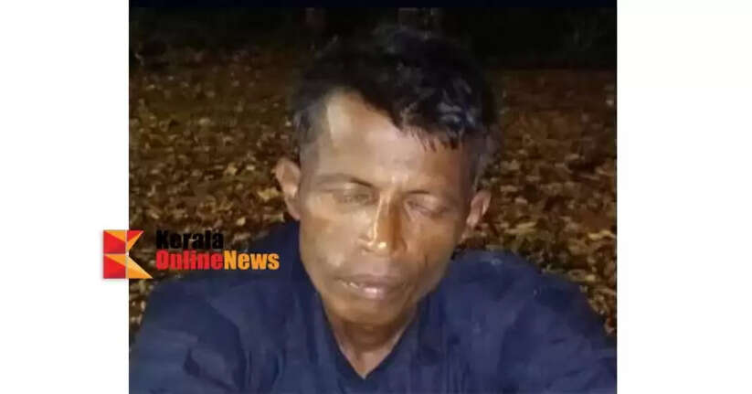 An Odisha native who tried to break open the temple treasury in Payyannur was caught by locals and handed over to the police