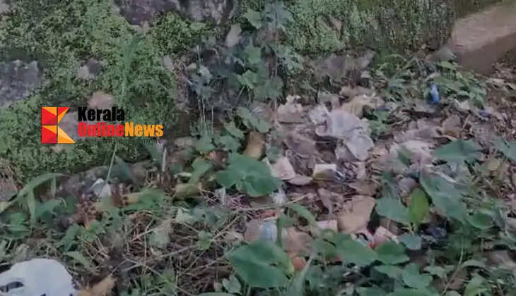 The historic Kaviyoor Mahadeva Temple in Thiruvalla is in a state of disrepair.