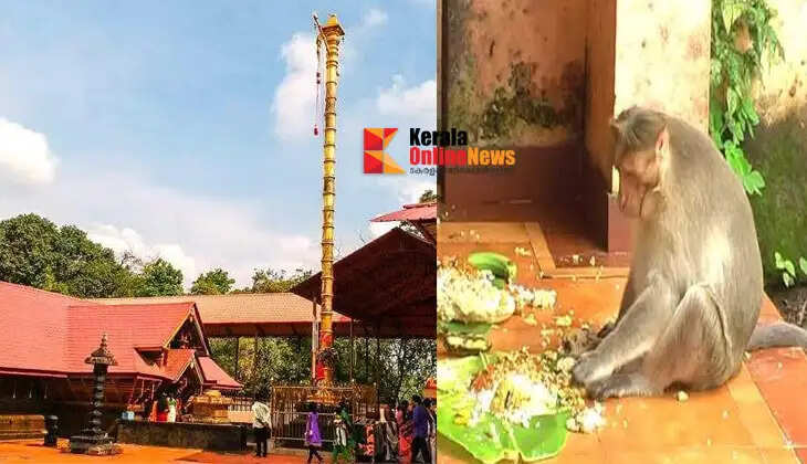 Sasthamkotta Sree Dharma Sastha Temple: A rare shrine guarded by monkeys.