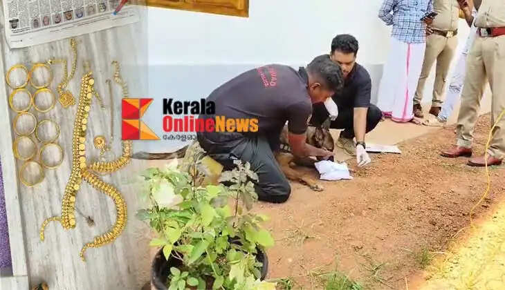 30 sovereigns stolen from a wedding house in Payyannur have been returned to