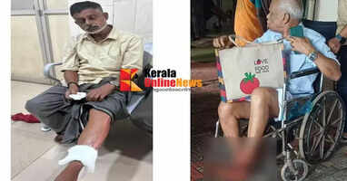 If you reach Kannur, you are guaranteed to get bitten: 25 people were bitten by stray dogs on the second day