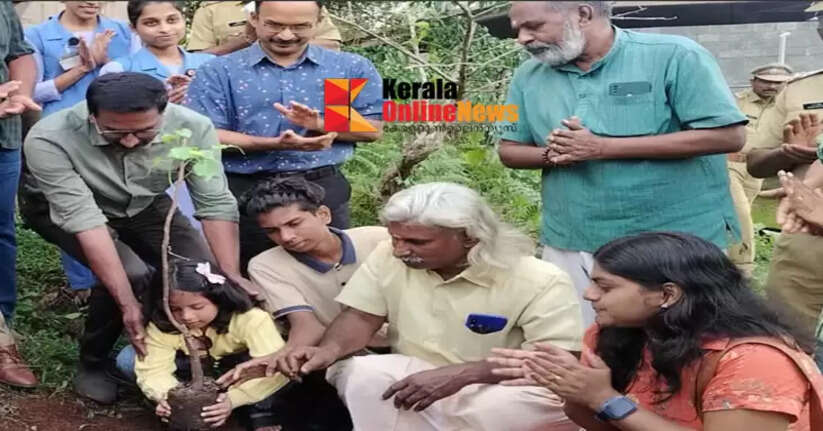 Banyan trees can be planted to prevent landslides: Tree walkers' meet held