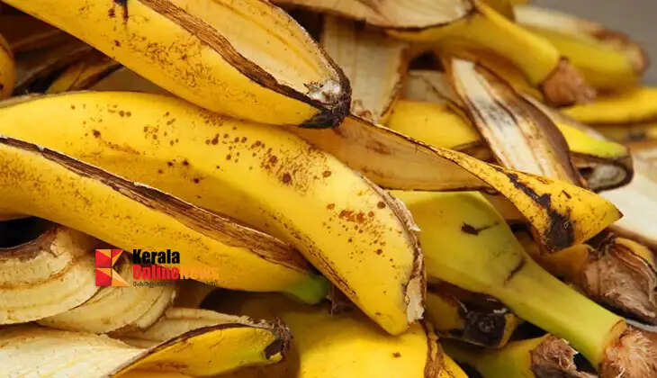 Don't throw away the skin after eating the fruit.. This is how you can use it in your kitchen garden