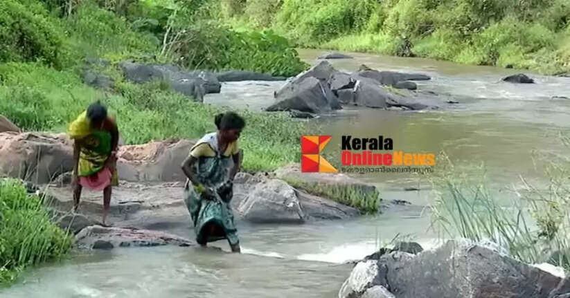 The misery of the vandikkadav Unnatti; Human Rights Commission registers a case, orders to submit a report within 15 days