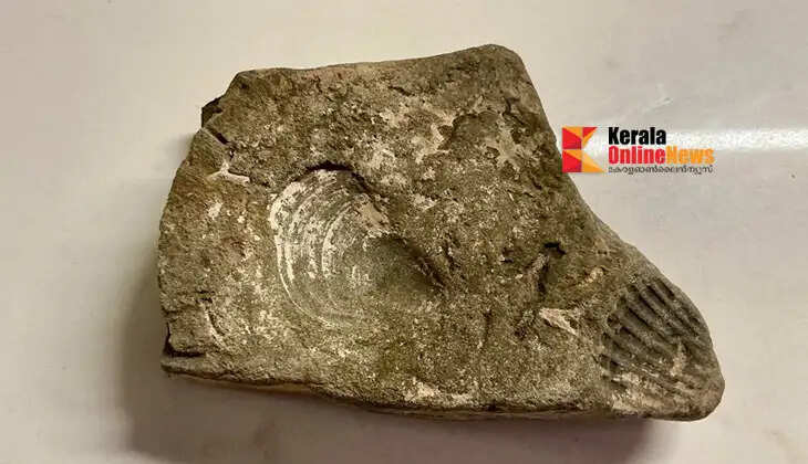 400 million-year-old fossil found in Brazil