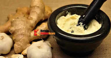 ginger garlic paste 