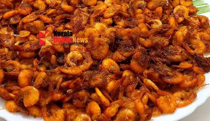 small shrimp fry