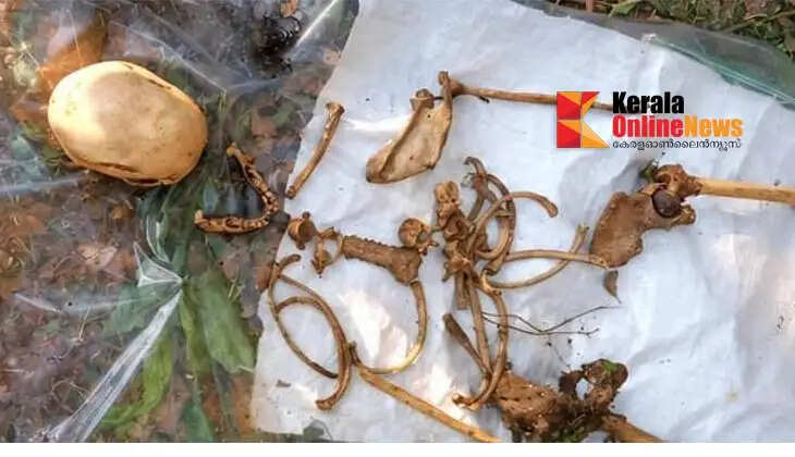A human skeleton was found in a scattered state in Kannur.