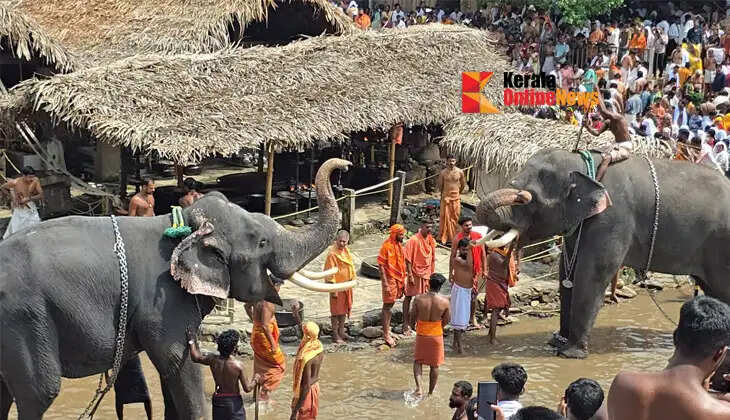 Today is Thiruvathira Chatushatham; Amidst news of an elephant being trapped in Kottiyur, Gajaveeras seek refuge with the gods and goddesses for Shivali3