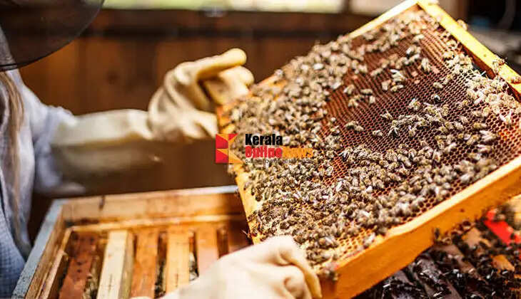 Beekeeping offers a dual benefit to farmers; it boosts both yield and income.