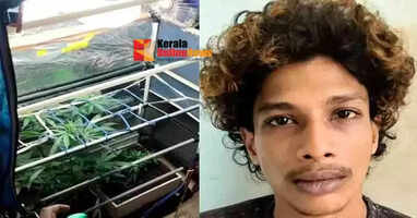 'Artificial light, exhaust fan for growth'; Youth arrested for creating high-tech cannabis garden inside house