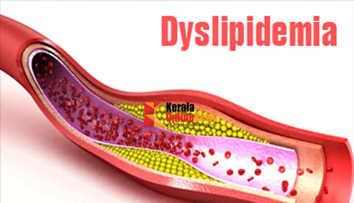 dyslipidemia