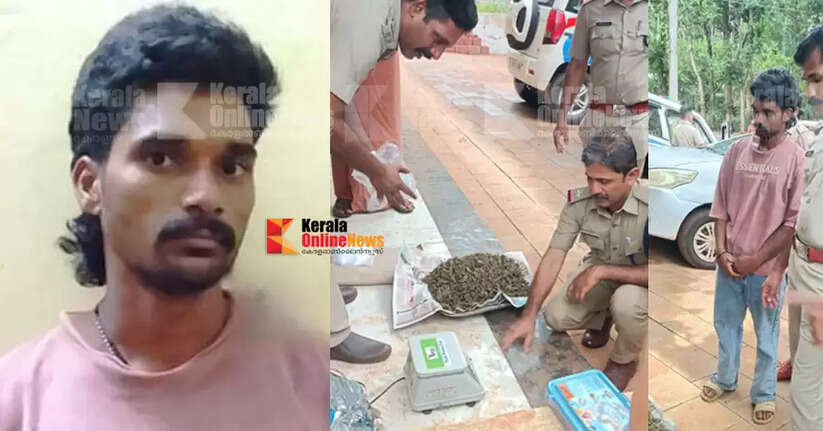 Odisha native arrested with 4.5 kg of ganja in Taliparamba