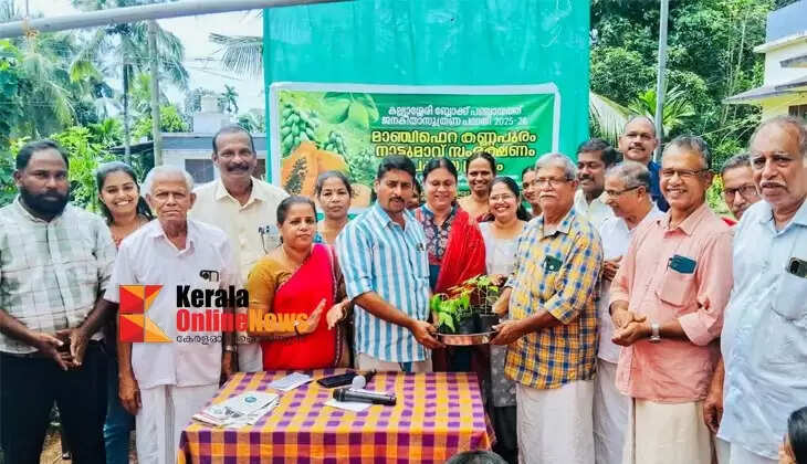 Papaya Village and Mangifera projects launched in Kallyassery block