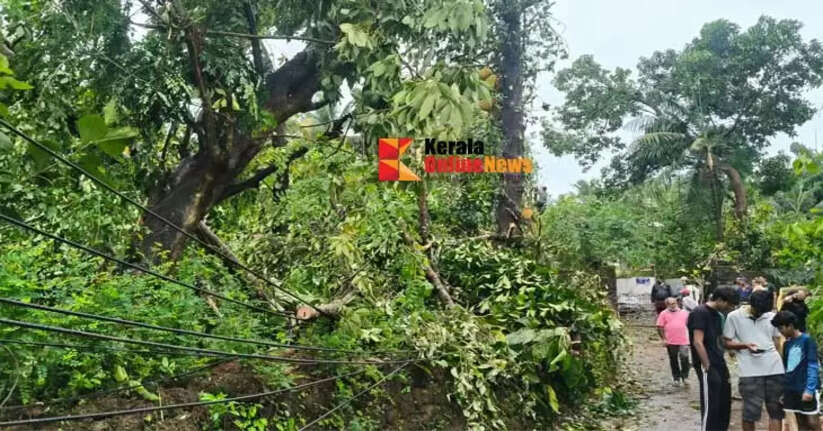 In the Valiyannur area a tornado has destroyed several houses