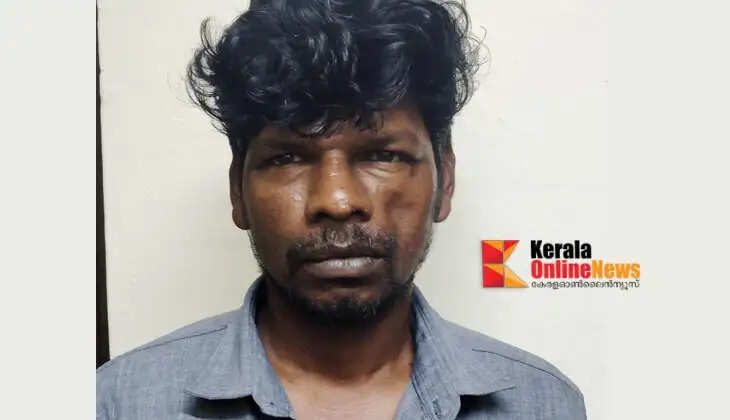 Arrested after a months-long investigation by a special team: lived in hiding in Tamil Nadu, avoided using a mobile phone, and visited home only occasionally.