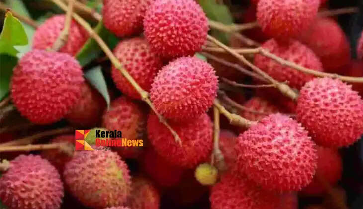 India exports Assam's famous 'Tezpur Lychee' to Dubai