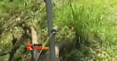 The forest department has started an investigation into the incident of breaking the solar fence built at the cost of lakhs