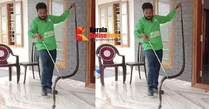 The king cobra was caught from the bathroom of the house in Ulikal