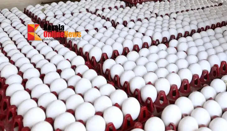 Egg prices rise in Namakkal