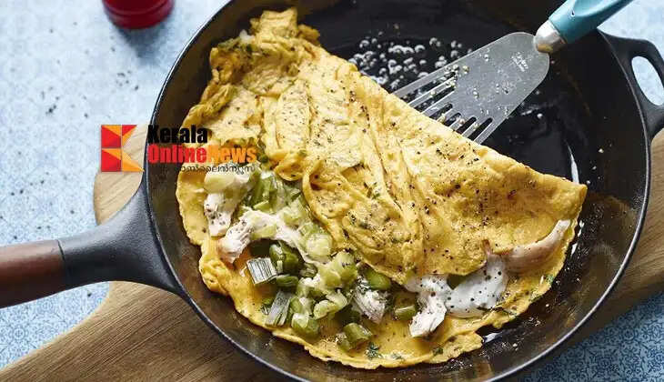 Chicken Omelette