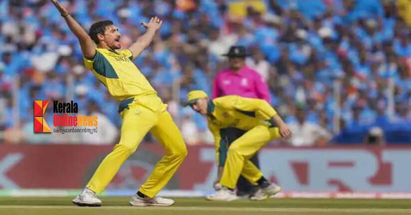 world cup cricket final