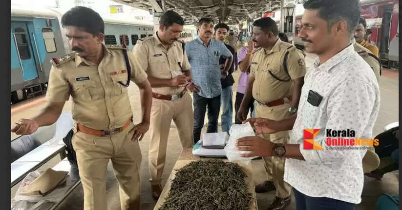3.75 kg of ganja seized at Shoranur railway station