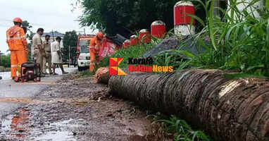 Bus waiting center collapsed after coconut tree falls on hilltop in Kannur; no casualties reported