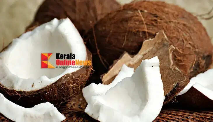 coconut
