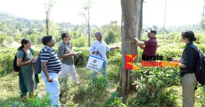 Mundakai-Churalmala Township: The survey will be completed within five days