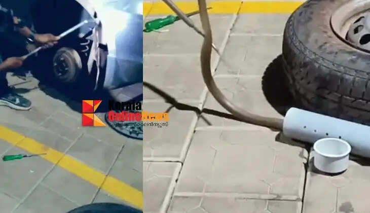 Mark activists caught a cobra that had climbed into a car parked on the side of the road in Lower Marsa