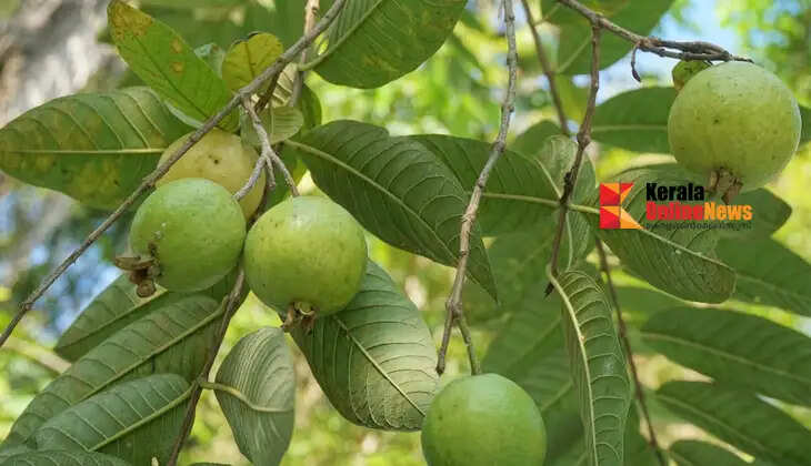 perakka