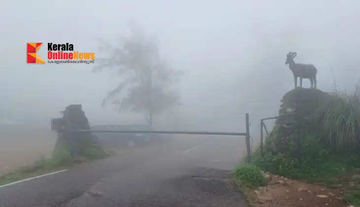 Torrential rain; landslide at Ponmudi; tourist centers closed, traffic disrupted.