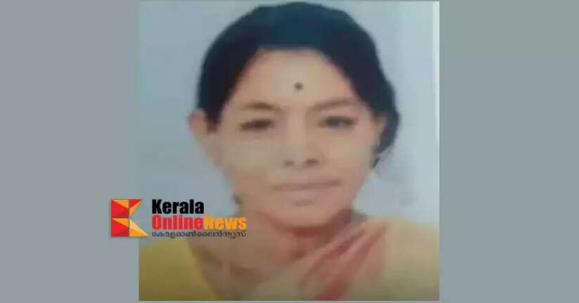Woman missing from Patiyam stream in Kannur not found