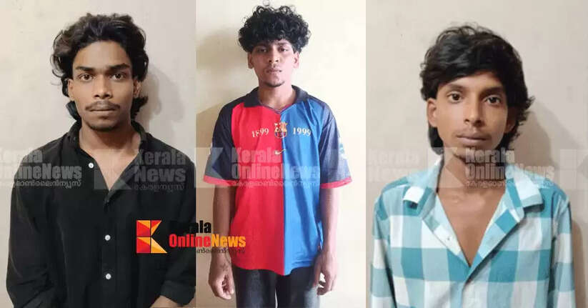 Met from the festival grounds, established intimacy through social media and feigned love and brought him to the lodge; Three youths who gang-raped a minor girl in Kannur are in remand