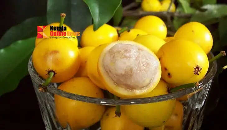 This incredibly tasty 'Baraba' will grow in Kerala