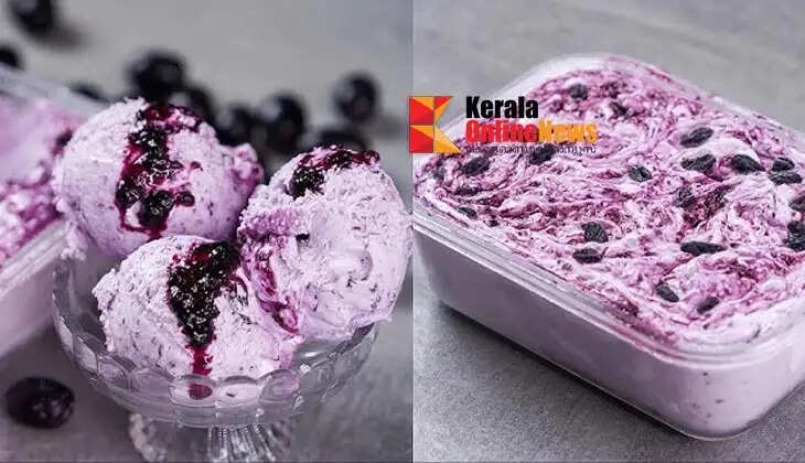 naturalgrapeicecream