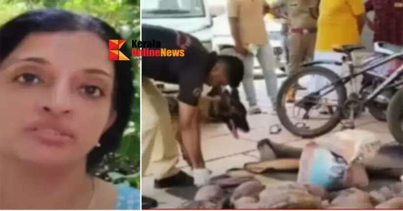 payyannur theft case