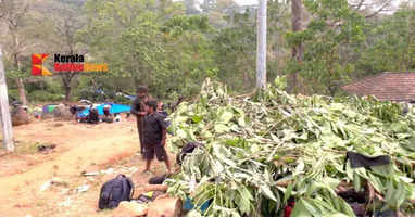 Pilgrims started camping in various parts of Sannidhanam with the aim of seeing Makaravilak Darshan