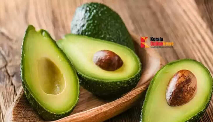 avocado