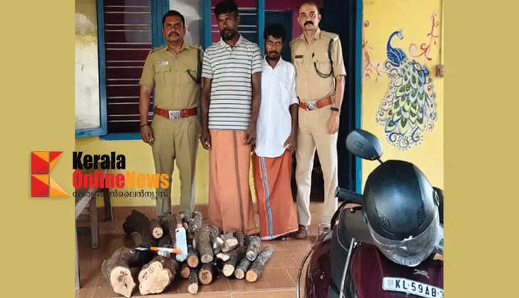 Thieves caught while cutting and smuggling sandalwood in Kannur's Taliparamba Forest Range